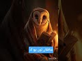 Sach ki zindagi jeeyo, jhoot se door raho |Munafqat |