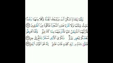 2 - سورة البقرة (٣٥-٣٧) - مشاري بن راشد العفاسي