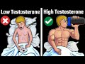 Testosterone kaise badhaye | Increase testosterone | Body Kaise banaye | टेस्टोस्टरॉन कैसे बढ़ाएं