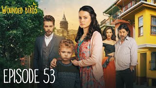 Wounded Birds - Episode 53 - [Multi Lang. Subtitles] Turkish Drama | Yaralı Kuşlar 2019