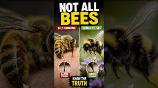 Bees Don’t Always Die Stinging