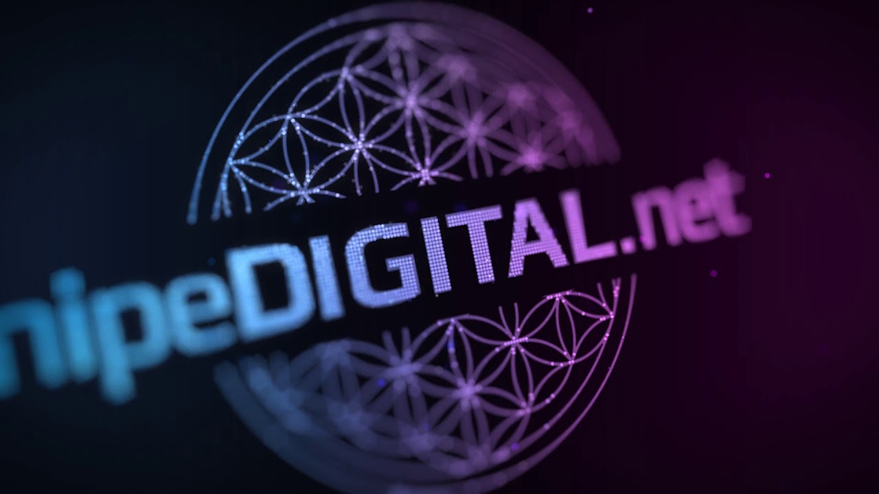 hipeDIGITAL Miami SEO Company Intro