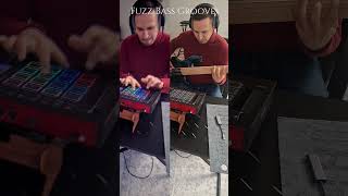 Fuzz Bass Groove