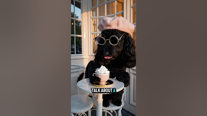 A Stylist dog eat Ice-cream #facts #ai #animals #amazing #dog #icecream #shorts #unbelievable