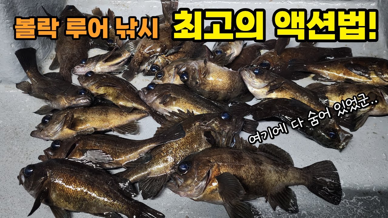 입질도 없는 볼락 액션법 하나 바꿨드니.. 이 방법만 먹혔다!!