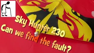 RC Sky Hunter 230 - Can we find the fault?