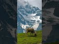 beautiful naturequality #trending#viral#foryou#foryoupage#explore#explorepage#viralreels#trendingnow