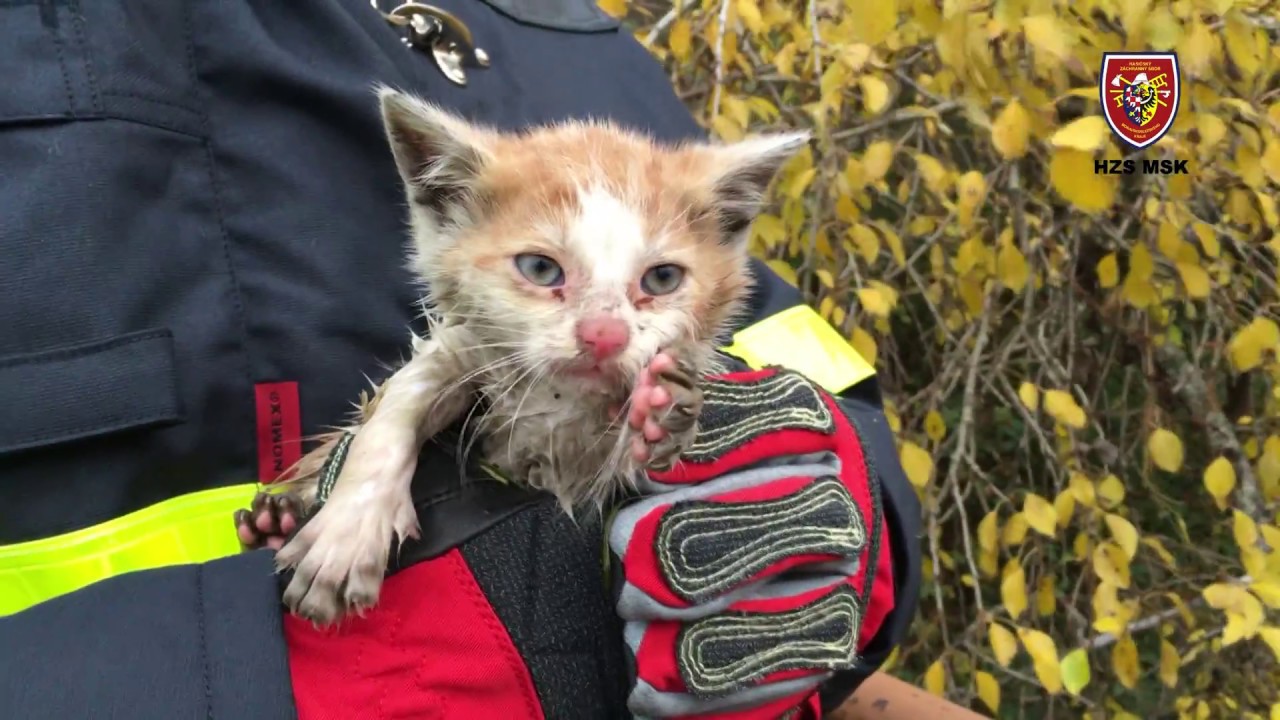 2016 - PROFESIONÁLNÍ HASIČI Z BÍLOVCE