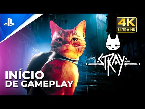 Stray: pets assistem seus donos jogando o game do gatinho