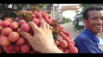 35k Vải Thanh Hà Đẹp Vải Hàng Chợ Dễ Bán l Núi Đồi Lục Ngạn