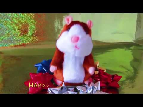 talking hamster youtube
