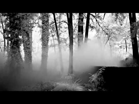 中谷芙二子 / Fujiko Nakaya - 霧の彫刻 / Fog Sculpture - YouTube