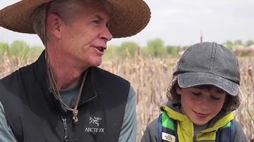 International Migratory Bird Day - Why Birds Matter