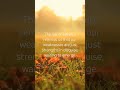 #lawofpolarity #new #sleepwithnature #meditation #december #2025 #newbeginnings #love #quotes