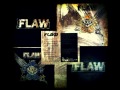 Flaw - Untitled