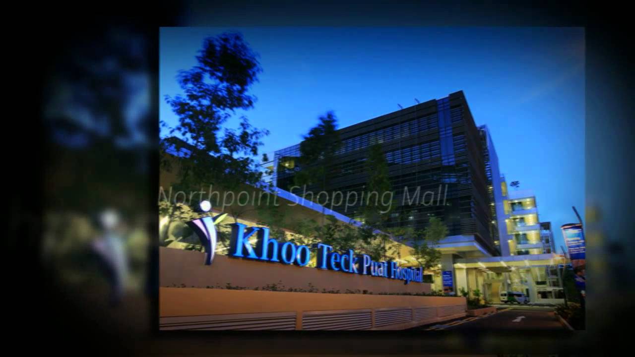 Northpoint Bizhub (B1 Light Industrial Property) YouTube