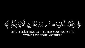 كروما | والله أخرجكم من بطون أمهاتكم لا تعلمون شيئا | القارئ ياسر الدوسري | شاشة سوداء | كرومات قرآن