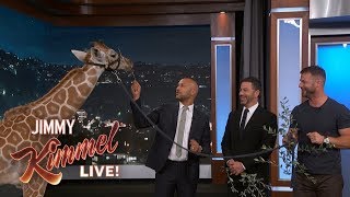 Adorable Baby Animals with Dave Salmoni \& Keegan-Michael Key