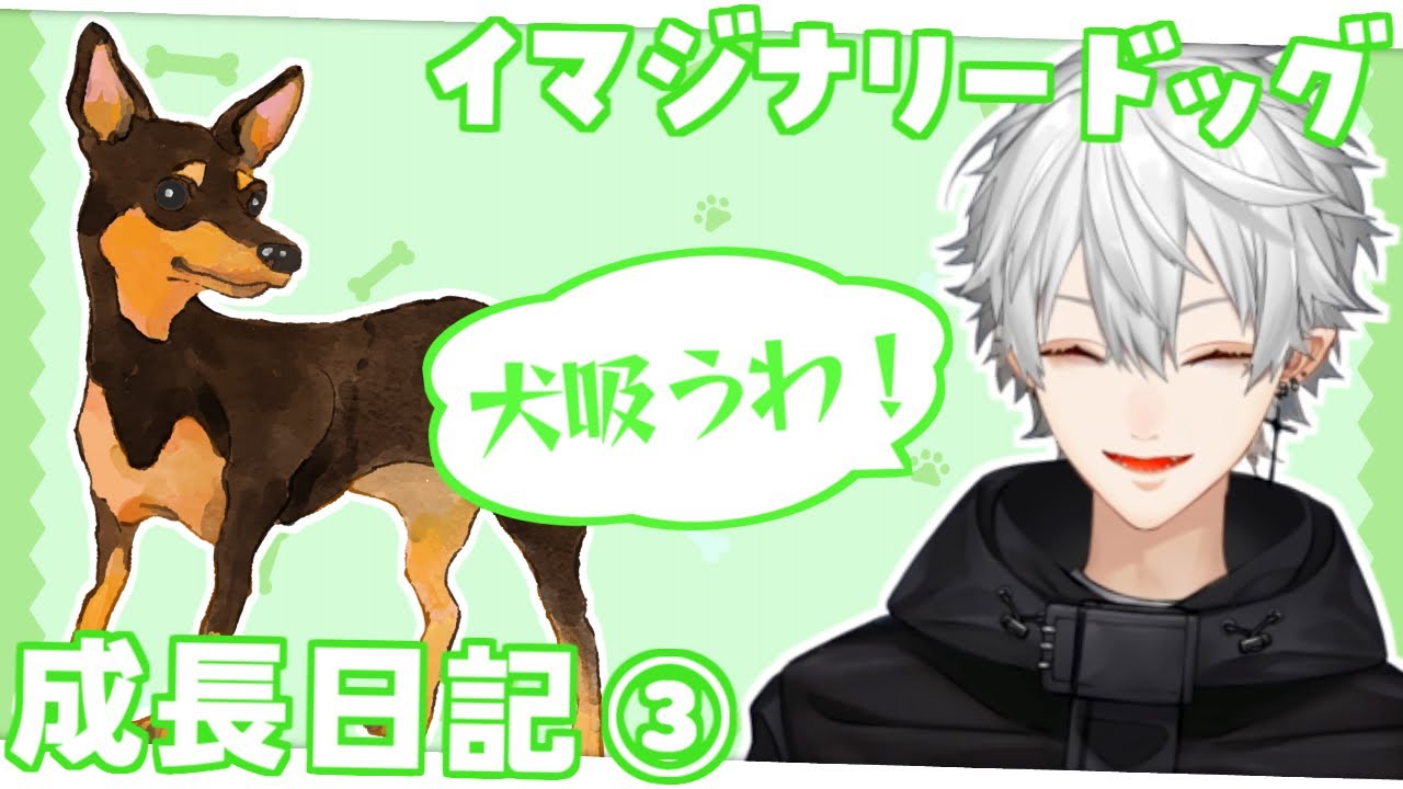 【元イマド】愛犬と戯れてメンタルケアする葛葉【成長日記③】