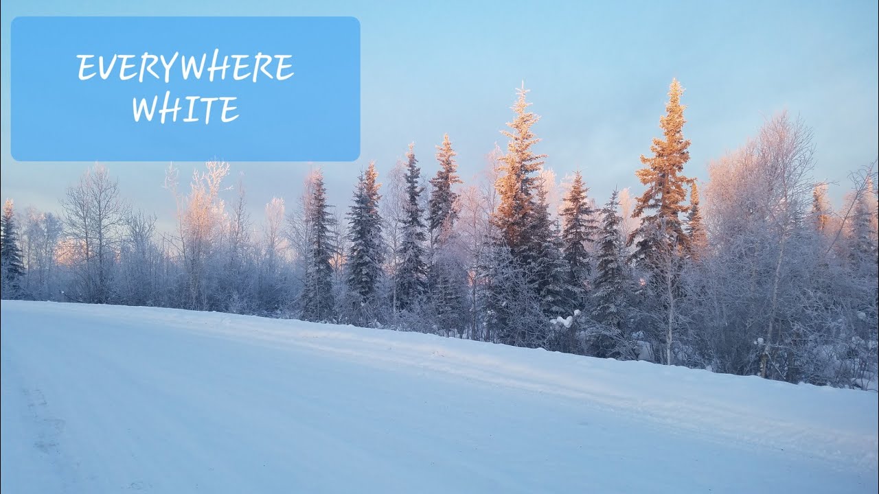 Alaskan Life | Winter Landscape