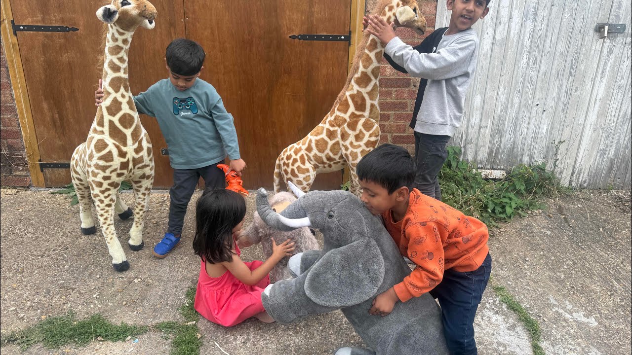 Ayan’s toy review , kids playing with animals , 