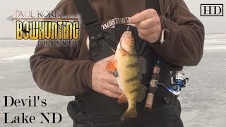 Devils Lake ND HUGE JUMBO PERCH ICE FISHING deep water large fish under ice no shack Best fishing