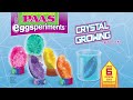 Paas eggsperiments crystal growing egg science kit