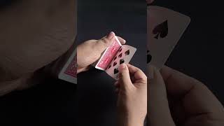 Celebrity Learn How To Do The Paintbrush Color Change In Under A Minute Net Worth