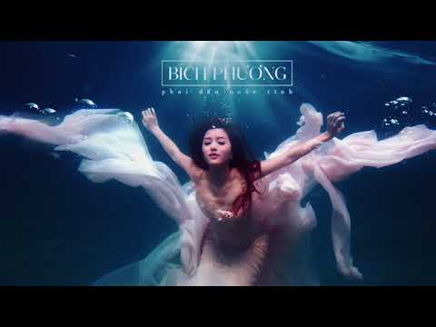 BÍCH PHƯƠNG   Phai dấu cuộc tình  Audio