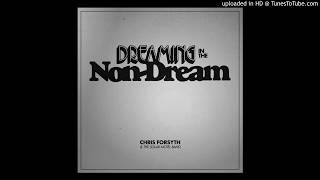 Video thumbnail of "Chris Forsyth & The Solar Motel Band - Dreaming in the Non-Dream - History & Science Fiction"