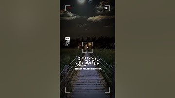 تلاوه جميله للشيخ ياسر الدوسري #تصنيف #اكسبلور #لايك