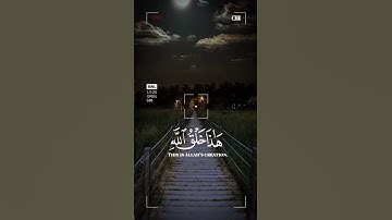 تلاوه جميله للشيخ ياسر الدوسري #تصنيف #اكسبلور #لايك