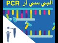 شرح تفاعل البي سي ار  PCR (باللغة العربية) -