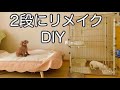 節約手作りDIY。犬用ゲージをリメイクして、猫用ゲージに。【先住犬トイプードル＋保護猫+DIY】