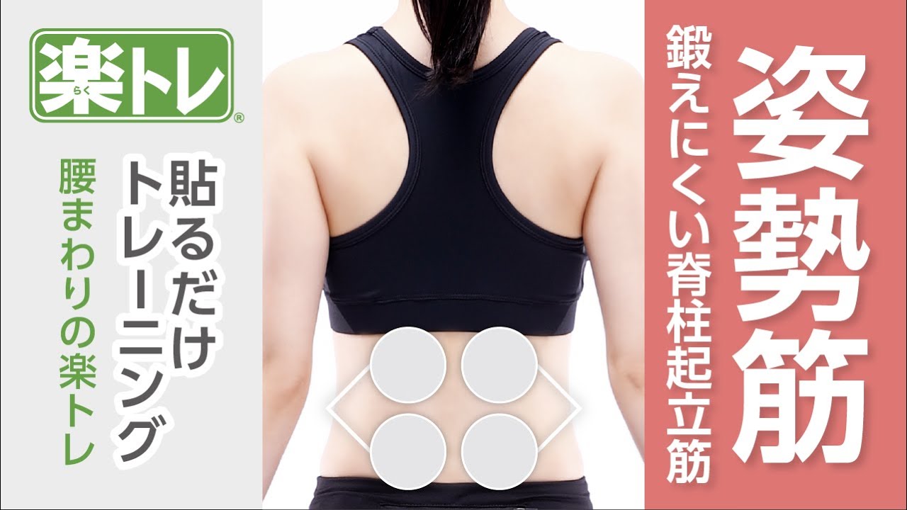 東レtoreleteEX EMS トレーニング フィットネスマシン 筋肉刺激装置