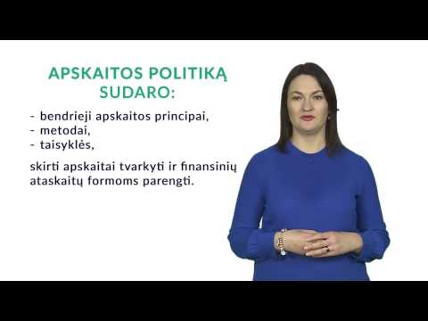 Auditorė J. Navikienė pristato kompiuterinę programą Apskaitos politika