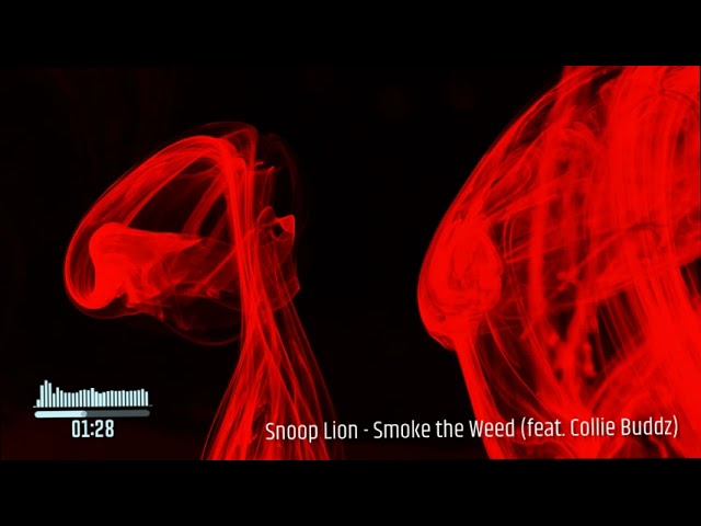 Snoop Lion - Smoke The Weed (ft. Collie Buddz) class=