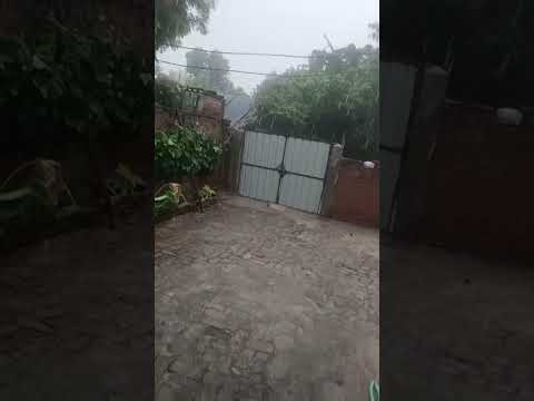 बारिश का मौसम ❤️🥰❤️ #viralvideo