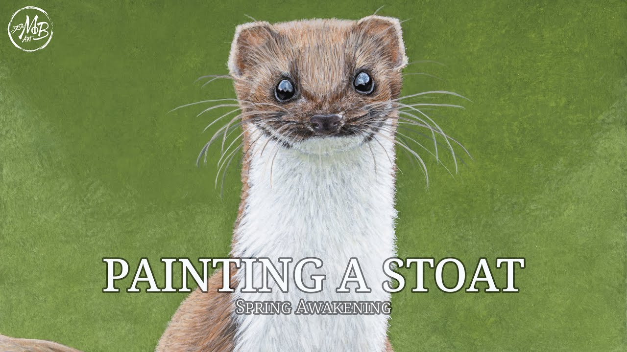 A Stoat in Acrylic | Spring Moments | Flowers | Cats - YouTube