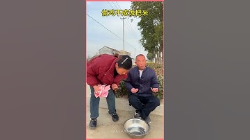 😜🤣Stealing a chicken but losing the rice new funny video 2025 #funny  #shorts