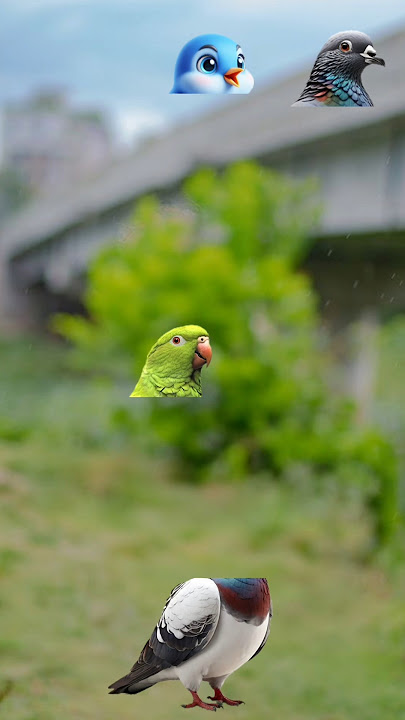 assala walekum walekum salam🥰#ytshorts #viral #terrnding #animals #vfx #shorts #islamicshorts #bards