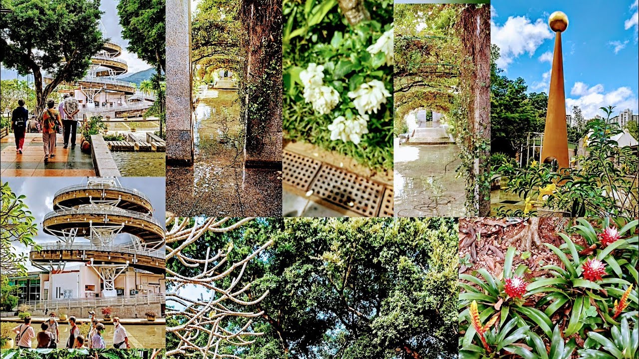 Afternoon Gymnastics at Lookout Tower, Tai Po Waterfront Park (Vertical)  大埔海濱公園回歸塔上獻技 28/11/2022