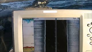 Using Fish Locator to help scout for Whitefish on Green Bay Wisconsin and Michigan