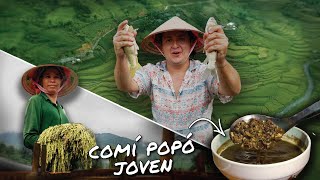 VIETNAM DESCONOCIDO 🇻🇳 y su comida 🥘 by Calixto Serna - México Cooking Club 207,998 views 1 month ago 20 minutes