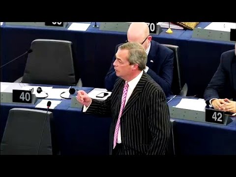 Farage: 'I hope 2016 is our year of deliverance'