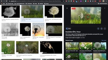 How to insert a GIF into Google Slides