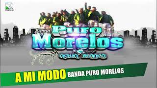 A Mi Modo Banda Puro Morelos Agua Blanca Estreno 2021