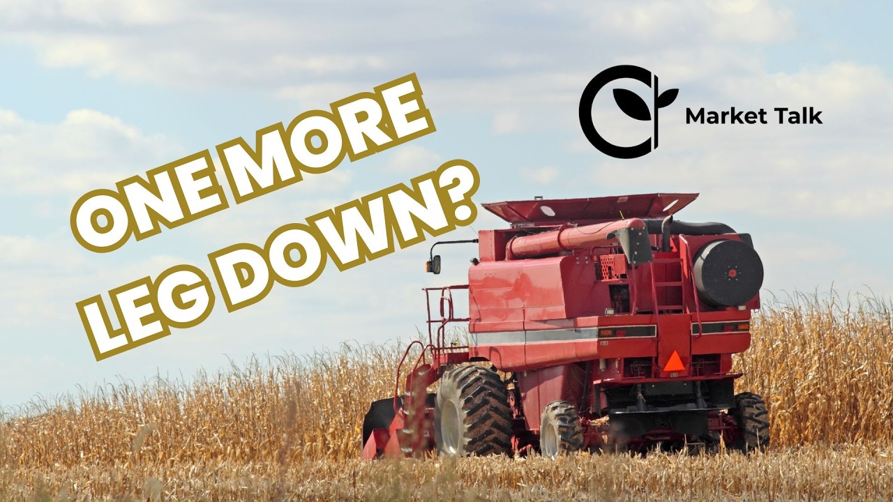 Did USDA Just Set Up Another Leg Down for Corn?