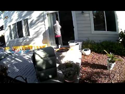 CLAYCORD.com - #4 Alleged Burglar Trying to Open Door & Window - YouTube