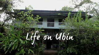 Life on Ubin